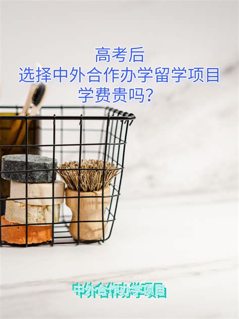 中外合作办学留学项目的学费贵吗？ 知乎