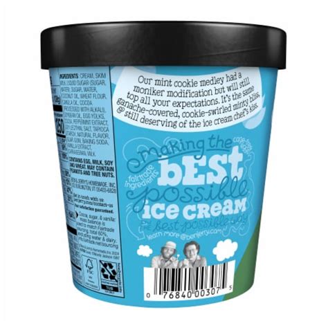 Ben Jerrys Topped Mint With Chocolate Ice Cream Pint 15 2 Oz Fred