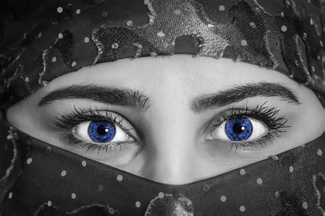 Blue Eyes Of Woman Free Stock Photo - Public Domain Pictures