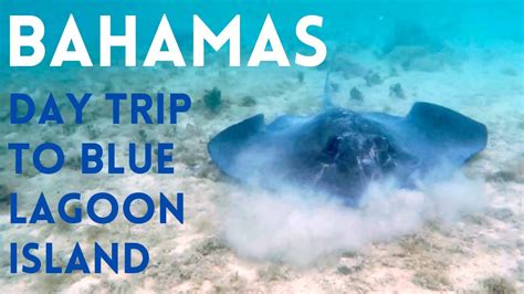 Bahamas Blue Lagoon Island Day Trip Nassau Caribbean Youtube