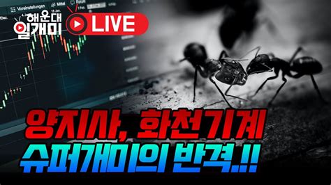 주식실시간방송 실전계좌공개 양지사 화천기계 슈퍼개미의 반격 Youtube