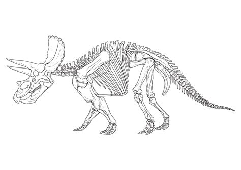 Triceratops Color Sheet Free Printable