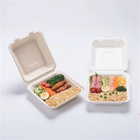 Lunch Food Meal Deli Sugarcane Packaging Boxes Disposable Disposable