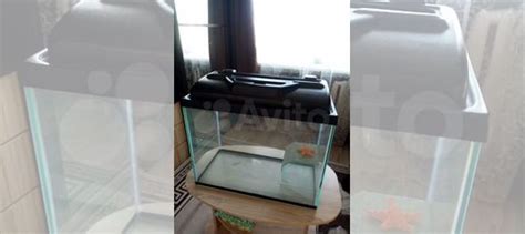 Аквариум купить в Твери | Животные и зоотовары | Авито