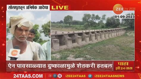 Solapur Drought ऐन पावसाळ्यात सोलापुरात दुष्काळ शेतकऱ्यांची पिकं