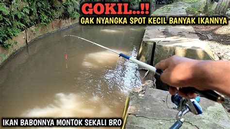 Rejeki Nomplok Mancing Di Selokan Kecil Banyak Ikannya Spot Ini