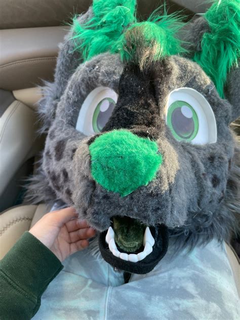 CLOSED Fursuit And Dinomask Head Commission READ DESC Etsy Canada