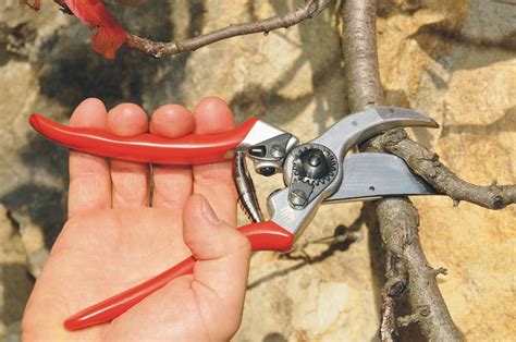 Zestaw sekator Felco 2 z kaburą skórzaną Shark - Agrosimex.pl