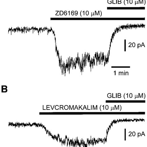 Original Traces Of Whole Cell ATP Sensitive Potassium Channel KATP