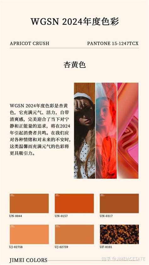 Wgsn