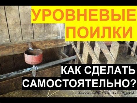 Уровневые поилки для крс: как сделать самому? - YouTube