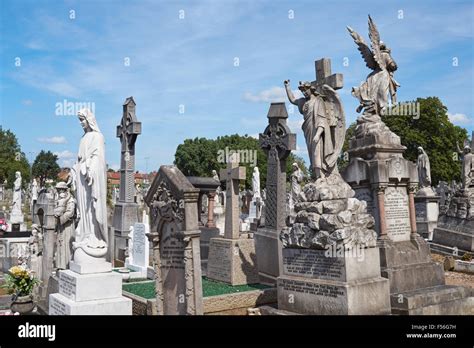 St Patrick's Roman Catholic Cemetery, Leyton, London England United ...