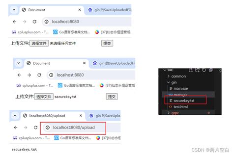 Golanggin Golang Gin Csdn