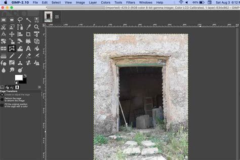 Learn How To Use The Cage Transform Tool In Gimp