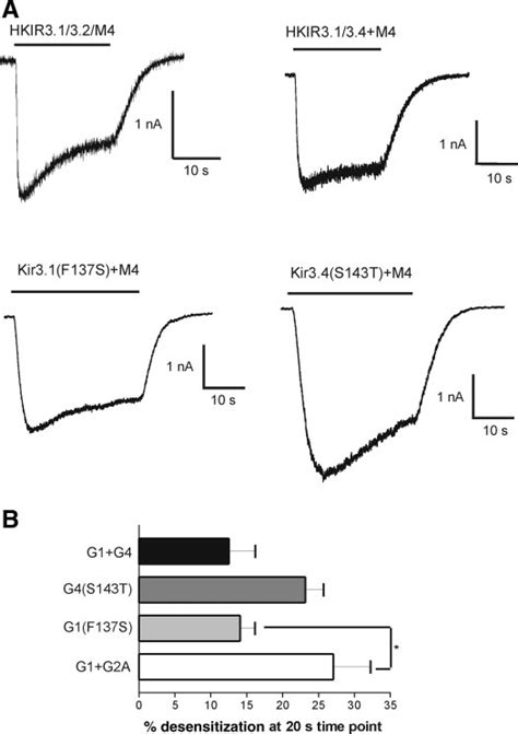 Desensitization Occurs With Other Kir3 0 Channel Isoforms A