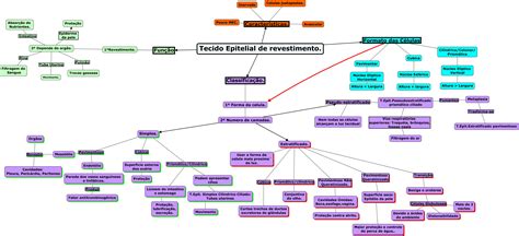 Tecido Epitelial Mapa Conceitual Porn Sex Picture