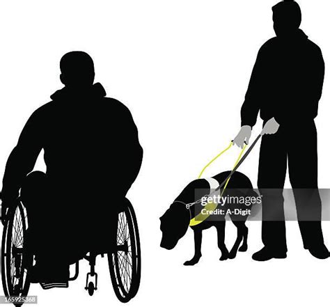 Guide Dog Silhouette Photos And Premium High Res Pictures Getty Images