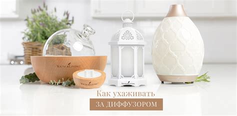 Как ухаживать за диффузором - Блог Young Living