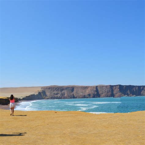 Reserva Nacional De Paracas Tours En Paracas Emotion Tour Peru