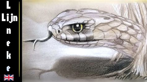 Snake Pencil Drawing at GetDrawings | Free download