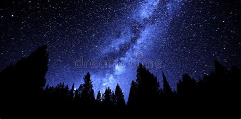 Milky Way Sky Forest at Night Time Stars Stock Image - Image of scenic ...