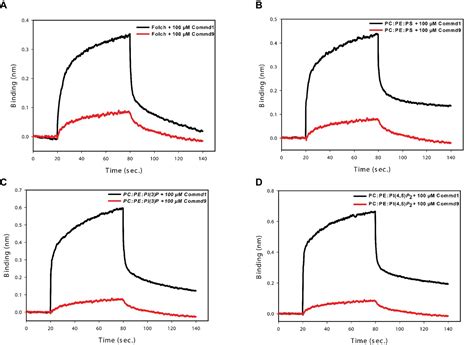 Figures And Data In Structural Insights Into The Architecture And