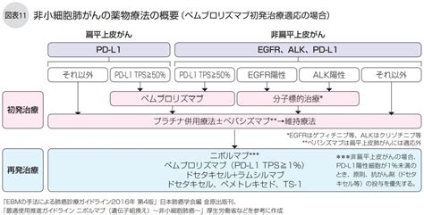 ジョセフバンクス アジャ 力 非 小 細胞 肺癌 化学 療法 レジメン トーナメント 無駄に ポーク