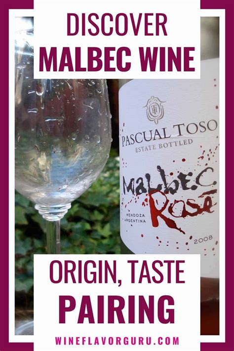 Malbec Wine Guide: Origin, Taste, Style, Food Pairing