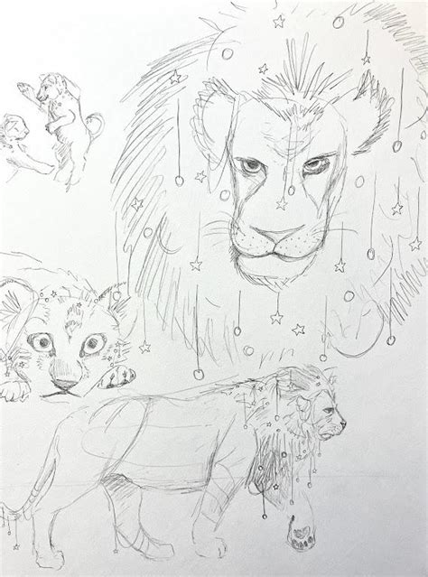 Lion Sketches by JewellsAndShadows on DeviantArt