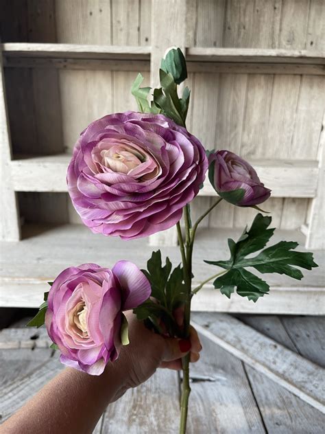 Purple Italian Ranunculus Stem Kelea S Florals