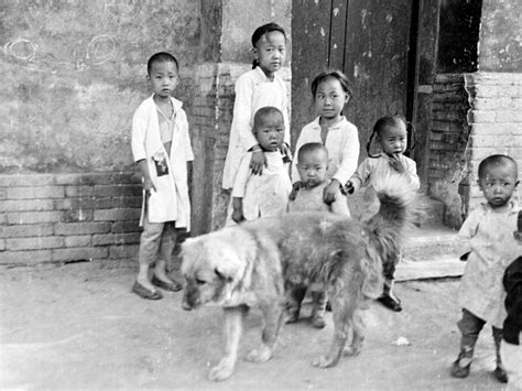 一组1917年拍摄的北京老照片，103年前的京城记忆老照片图库新浪博客