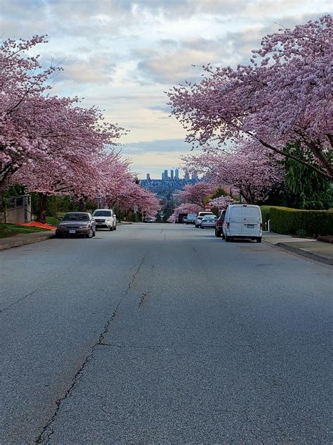 North Burnaby things... : r/britishcolumbia