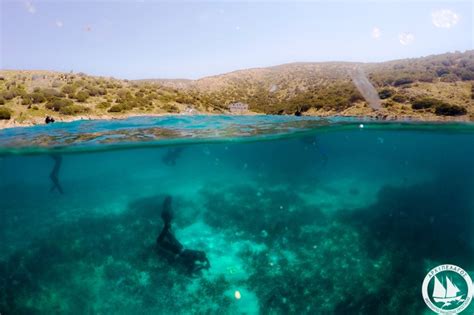 Implementation Of Aegean Marine Life Sanctuary On Lipsi Island