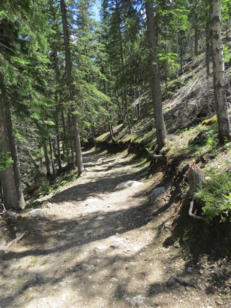 Harney Peak trail - Black Hills The Hike