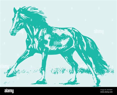 Running horse drawing hi-res stock photography and images - Alamy