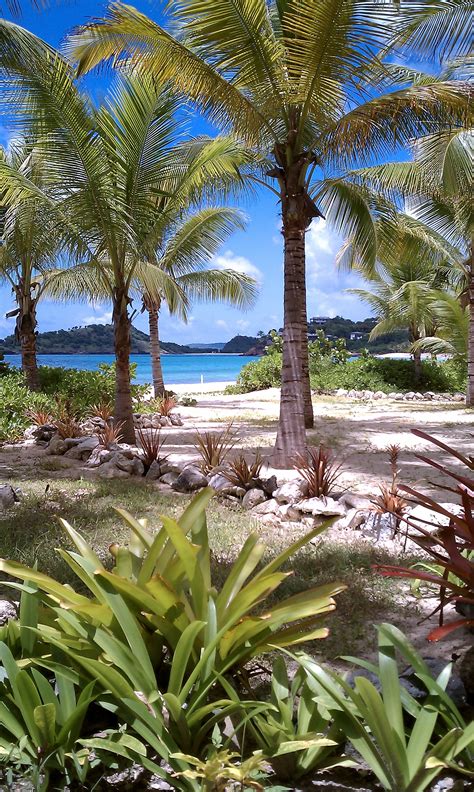 Antigua - Galley Bay Resort | Beautiful beaches, Most beautiful places ...