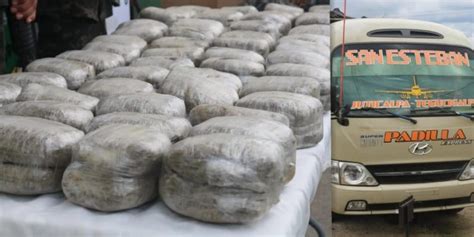 Pmop Decomisa Paquetes De Supuesta Marihuana En Un Bus