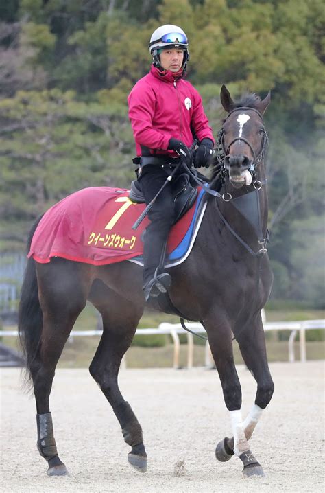 【桜花賞】クイーンズウォーク魅力たっぷり 日刊ゲンダイ競馬