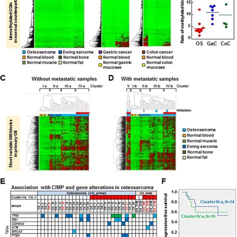 The Genome Wide Dna Methylation Profiles Of Primary Os A