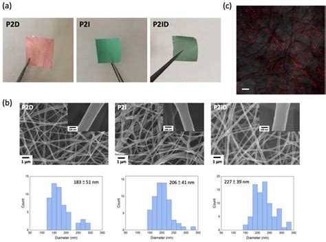 Polymers Free Full Text Near Infrared Light Remote Localized Drug