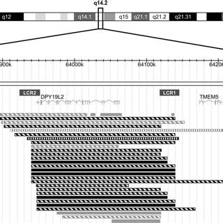 Linkage Analysis A Positional Cloning Procedure The Positional