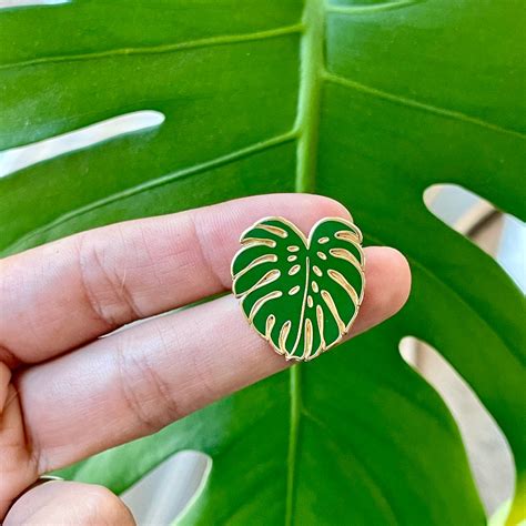 A Shop For Plant Lovers Plant Scouts