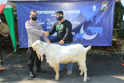 Polrestabes Surabaya Salurkan Ekor Sapi Dan Kambing Ke Yayasan