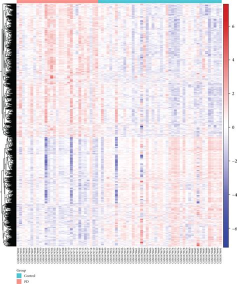 Heat Maps Showing Expression Patterns Of Differentially Expressed Genes Download Scientific