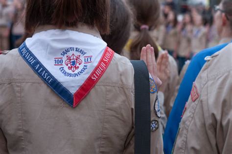 Boy Scout Salute Stock Photos, Pictures & Royalty-Free Images - iStock