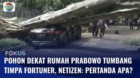 Pohon Tumbang Dekat Rumah Prabowo Timpa Mobil Fortuner Fokus