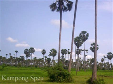 Kampong Speu Hotels, Cambodia Hotels - Tourism Cambodia