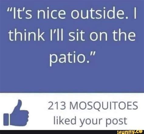 Its Nice Outside I Think Ill Sit On The Patio 213 Mosquitoes