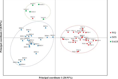 Frontiers Full Length Transcriptome Sequencing Analysis And