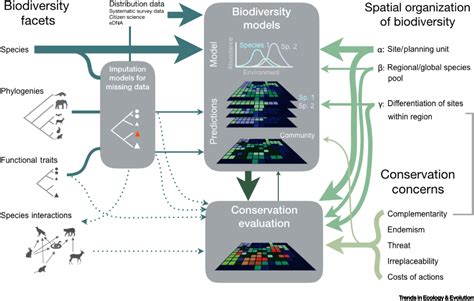 Protecting Biodiversity In All Its Complexity New Models And Methods Trends In Ecology